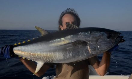 Dan Decible – Mediterranean – Fly Fishing For Tuna