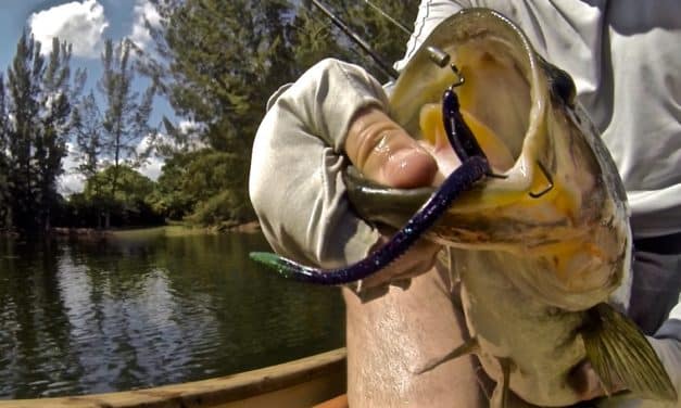 Trapper Tackle Hook Review
