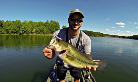 Summer Fishing Tips: How To Catch Bass In Midday Heat