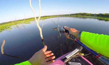 Lunkers TV – THIS IS WHY I LOVE BASS FISHING – WHAT A RUSH!!