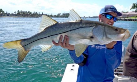 BlacktipH – The Snook Fishing Crusade – ft. LakeForkguy and LunkersTV