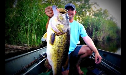 Understanding Big Bass – How to Catch a Trophy Largemouth