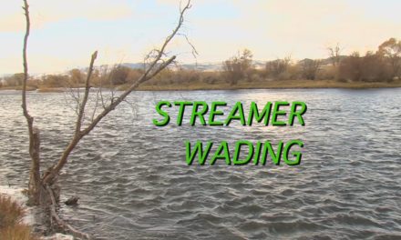 Dan Decible – Wade Tactics for Streamer Fishing