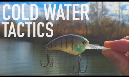 2 Cold Water Tactics You NEED To Try — Bass Fishing