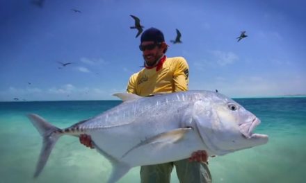 Dan Decible – 320 Trailer – Exotic Fly Fishing Pursuits