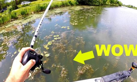 BASS FISHING a Small Lake with HUGE Potential!!!
