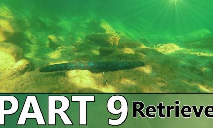 Beginner’s Guide to BASS FISHING – Part 9 – The Retrieve and How to Attract Fish