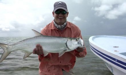 Dan Decible – Belize: Tarpon Fly Fishing