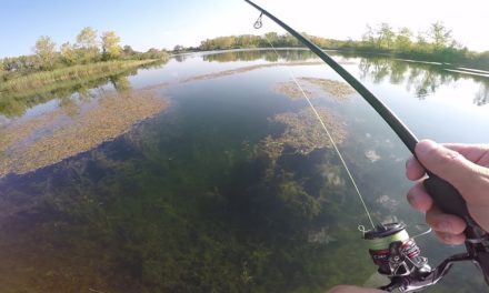 – Clear Water Bass Fishing Ft. Jon B