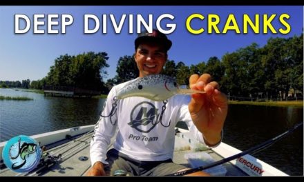 Deep Diving Crankbait Tips You’ve Never Seen Before! | Tackle Tuesday