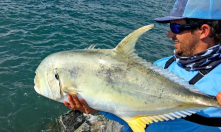 BlacktipH – Fishing for Giant Jack Crevalles on the Jetties