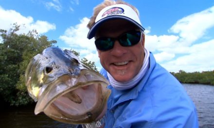 Florida Everglades Backcountry Fly Fishing for Snook