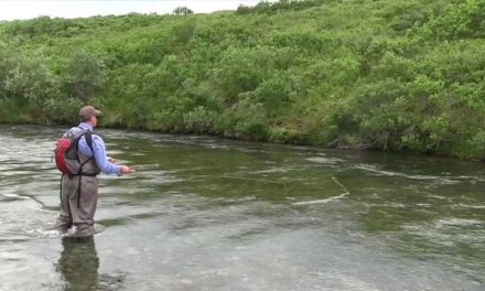 Dan Decible – Fly Fishing Alaska 2012