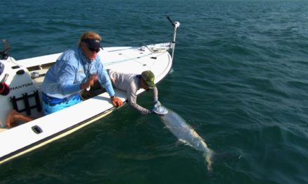 Fly Fishing for Tarpon on the Flats of Islamorada Florida Keys