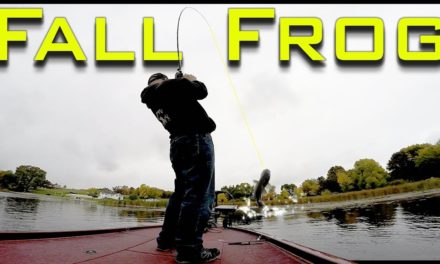 Frog Fishing in the Fall – How to Catch Bass on Frogs in the Fall Time Using KastKing Speed Demon