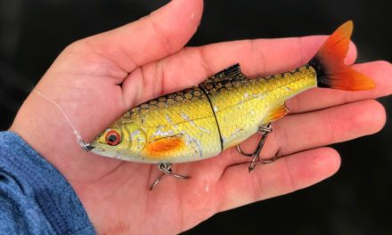 Lawson Lindsey – Golden Swimbait Catches Huge Fish