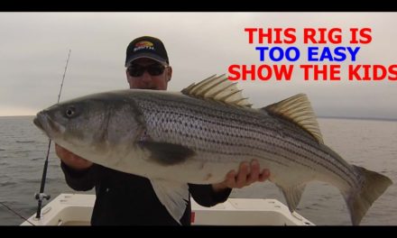 HOW TO CATCH STRIPED BASS FOR DUMMIES (NO OFFENSE) THE PERFECT RIG