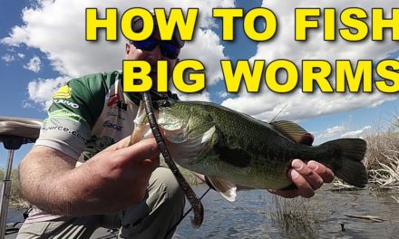 How To Fish Big Worms | Bass Fishing Techniques