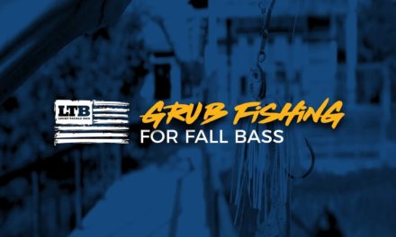 How to Fish a Grub for Fall Bass