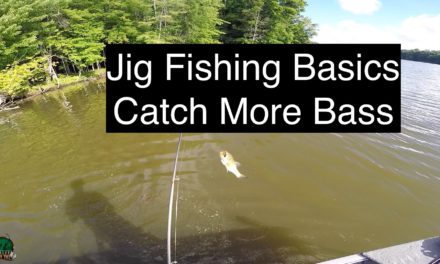 How to Fish a Jig – Bass Fishing