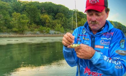 How to Work Lipless Crankbaits to Trigger Bass Anytime