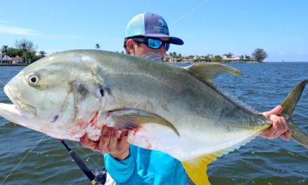 BlacktipH – Kite Fishing for Tarpon, Sharks and Jacks during the Florida Mullet Run