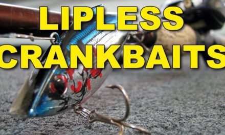 Lipless Crankbaits: How To’s, Tips, Tackle, and Techniques | Bass Fishing