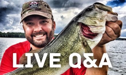 FlukeMaster – Live Q&A – Let’s talk fishing