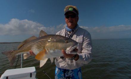 Louisiana Red Drum Fishing Cajun Fishing Adventures Big Redfish