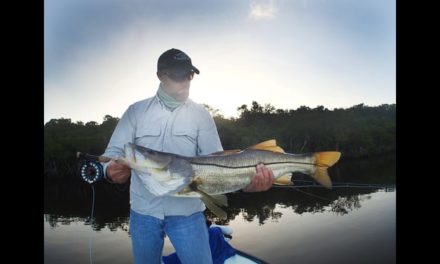Dan Decible – Miami Fly Fishing Tarpon, Snook, Redfish Via Everglades