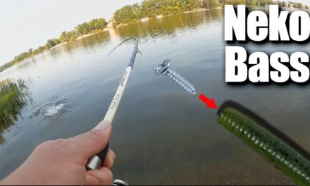 Neko Rig Senko Fishing – How to Catch Bass With a Wacky Neko RIg
