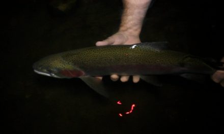 Dan Decible – Night Fishing