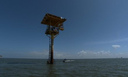Red Snapper Fishing Venice Louisiana Inshore Oil Rigs