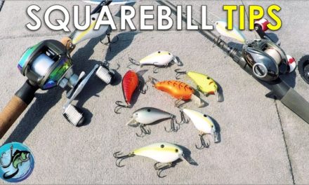 Squarebill Crankbaits: Everything You Need To Know | Tackle Tuesday