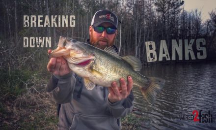 Tested Bank Fishing Tips for Catching Bass