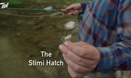 Dan Decible – The Stimi Hatch: Small Stream Dry Fly Fishing