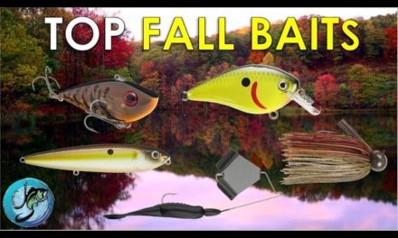Top 5 Fall Fishing Lures + Where To Throw Them