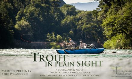 Dan Decible – Trout in Plain Sight – The Movie
