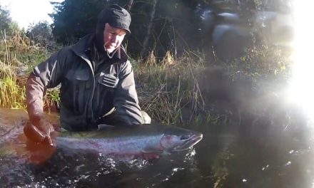Dan Decible – Winter Steelhead Fly Fishing | Olympic Peninsula, Washington