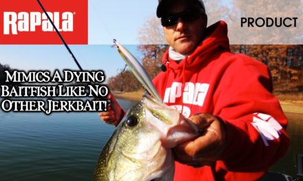 The magic behind the moves: The Rapala® Shadow Rap®