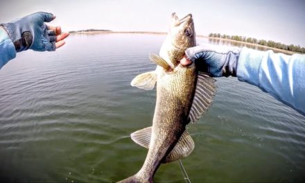 Early Spring Walleyes — Fishing Edge TV