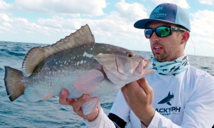 BlacktipH – Bottom Fishing for Snappers, Groupers and Kite Fishing for Sailfish – 4K