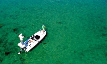 BlacktipH – Fishing on the Flats in the Bahamas for Bonefish at Old Bahama Bay – 4K