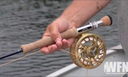 How To Catch A Bass While Fly Fishing