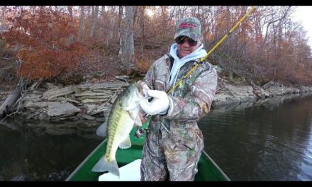 How To Hook A Live Crawfish ( The Best Way ) – Bass Fishing On Lake Weiss