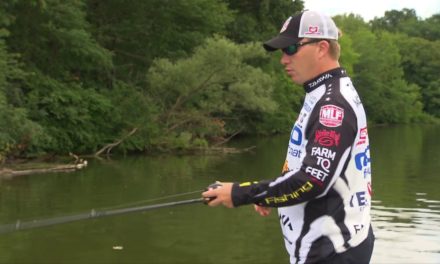 MajorLeagueFishing – Major League Lessons: Andy Montgomery on When to Peg