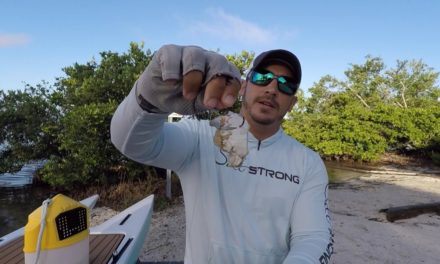 The Best Way To Rig Blue Crabs (For Bull Redfish & Black Drum)