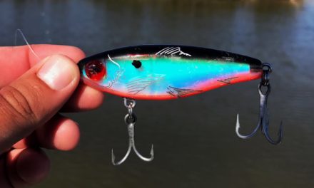 Lawson Lindsey – This Little Lure Catches My New PB!