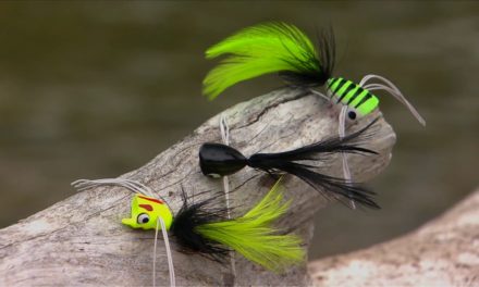 Bass on a Fly – How To