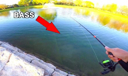 Flair – CLEAR WATER Golf Course Pond Fishing Challenge – MTB SLAM